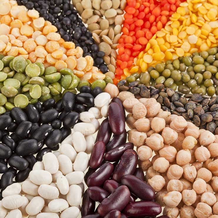 41ee02af4e556cf5c605bf4142eed65a